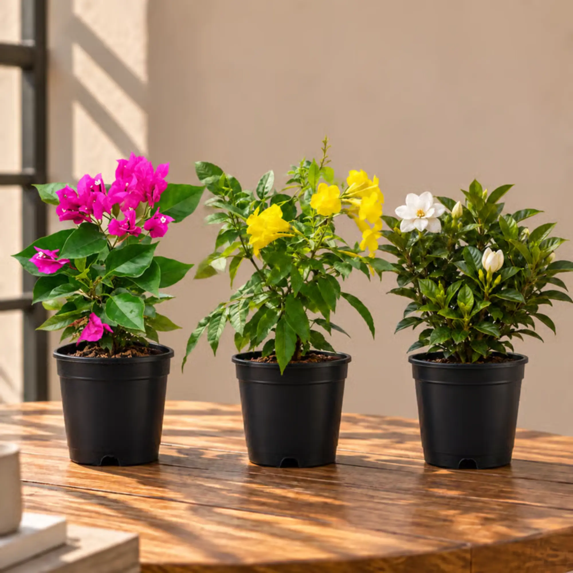 Flowering Plants